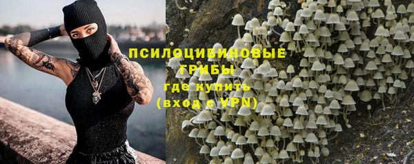 кокс Алексин